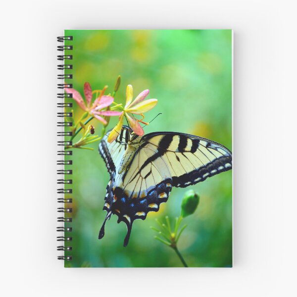 Item preview, Butterfly On Blackberry Lily designed and sold by MercerImages.