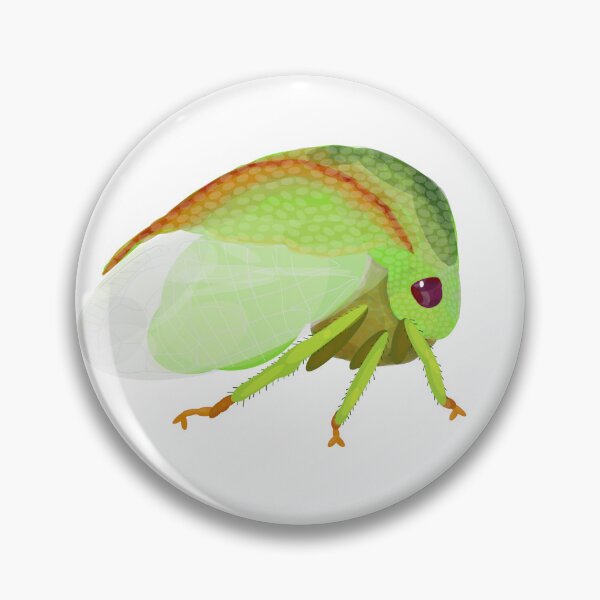 Item preview, Threecornered Alfalfa Hopper: Spissistilus festinus (Say) designed and sold by Benny-and-Bea.