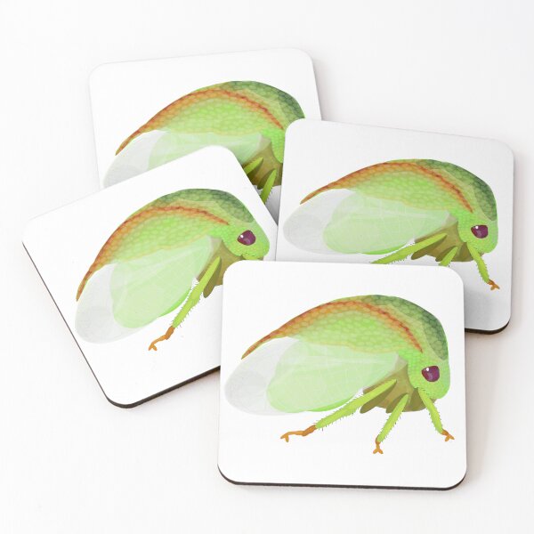 Item preview, Threecornered Alfalfa Hopper: Spissistilus festinus (Say) designed and sold by Benny-and-Bea.