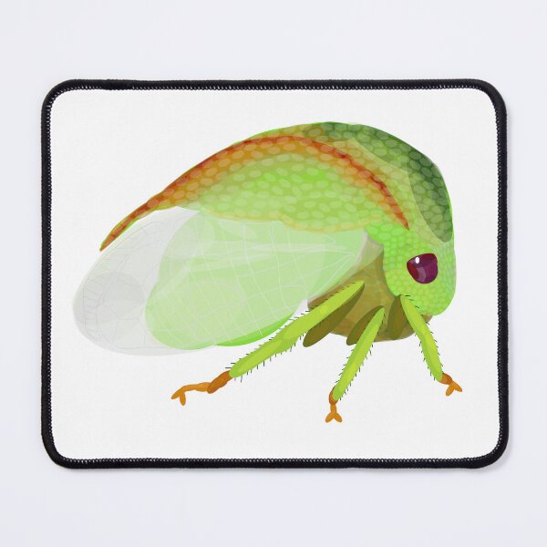 Item preview, Threecornered Alfalfa Hopper: Spissistilus festinus (Say) designed and sold by Benny-and-Bea.