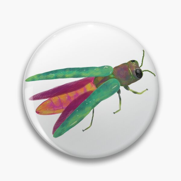 Artikelvorschau, Asiatischer Eschenprachtkäfer: EAB, Agrilus planipennis entworfen und verkauft von Benny-and-Bea.