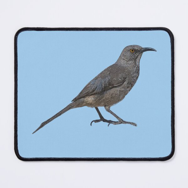 Item preview, Curve-billed Thrasher Color Design  designed and sold by designsasstultd.