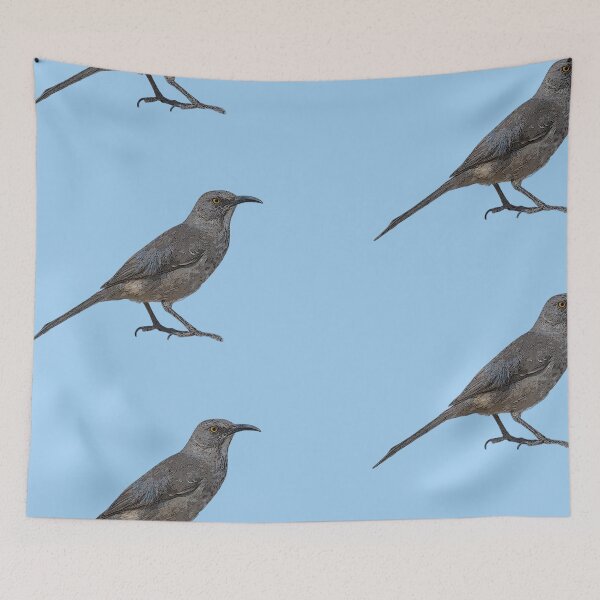 Item preview, Curve-billed Thrasher Color Design  designed and sold by designsasstultd.