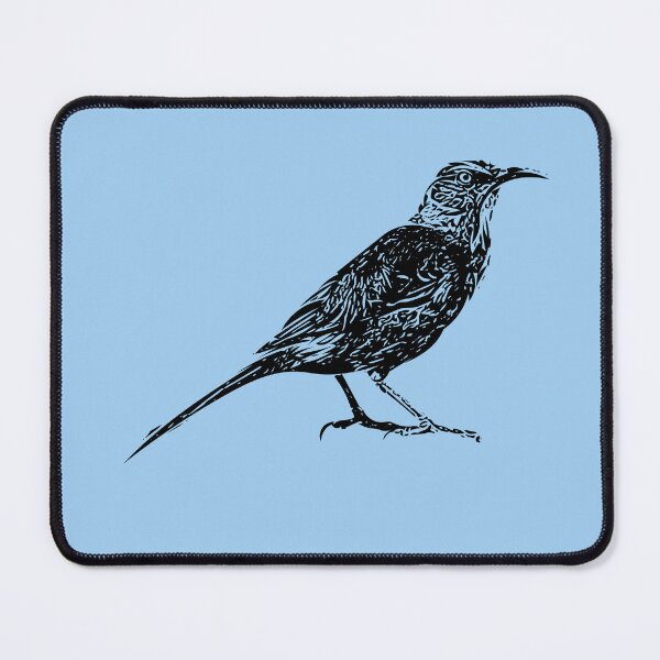 Item preview, Curve-billed Thrasher Black Design designed and sold by designsasstultd.