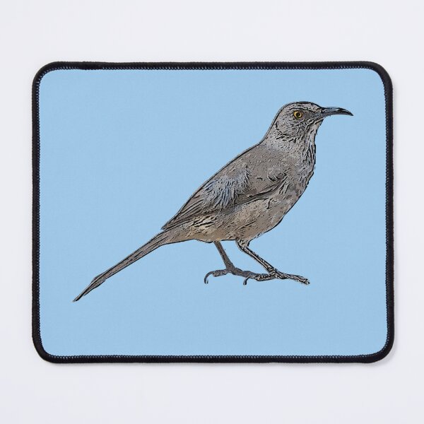 Item preview, Curve-billed Thrasher Black Alternate Design  designed and sold by designsasstultd.