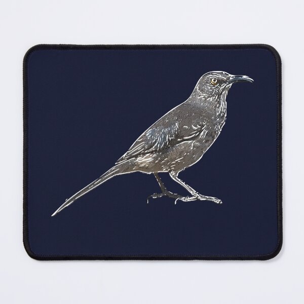 Item preview, Curve-billed Thrasher White Alternate Design designed and sold by designsasstultd.