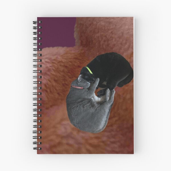 Item preview, Snuggle Cats designed and sold by ontological.