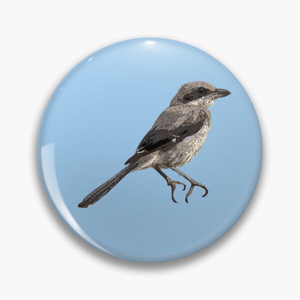 Item preview, Iberian Gray Shrike Color Design  designed and sold by designsasstultd.