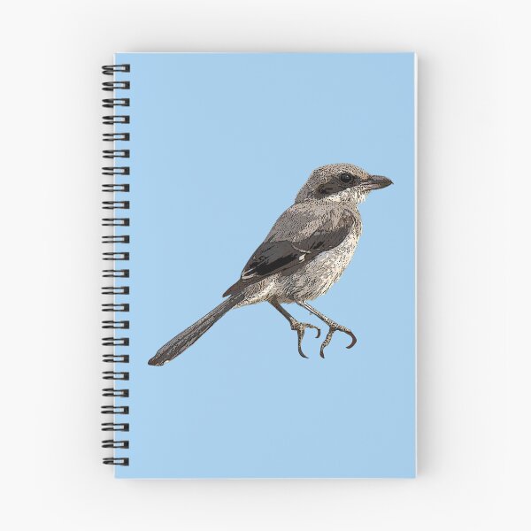 Item preview, Iberian Gray Shrike Color Design  designed and sold by designsasstultd.