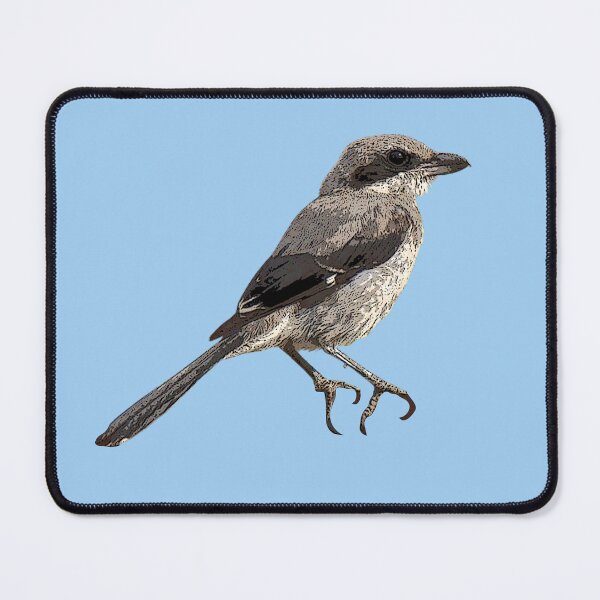 Item preview, Iberian Gray Shrike Color Design designed and sold by designsasstultd.