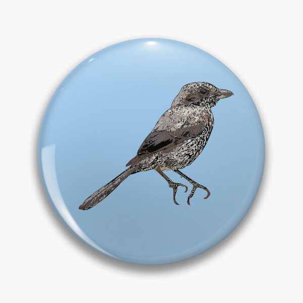 Item preview, Iberian Gray Shrike Black Alternate Design  designed and sold by designsasstultd.