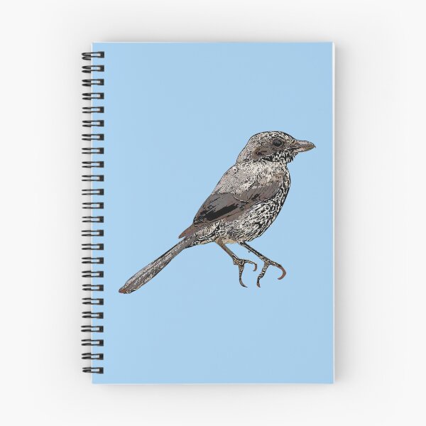 Item preview, Iberian Gray Shrike Black Alternate Design  designed and sold by designsasstultd.