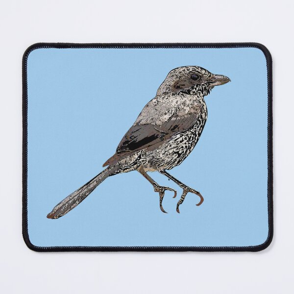 Item preview, Iberian Gray Shrike Black Alternate Design designed and sold by designsasstultd.