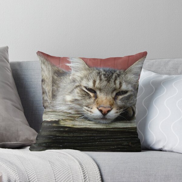 Item preview, CAT IN THE CRADLE designed and sold by May Lattanzio.
