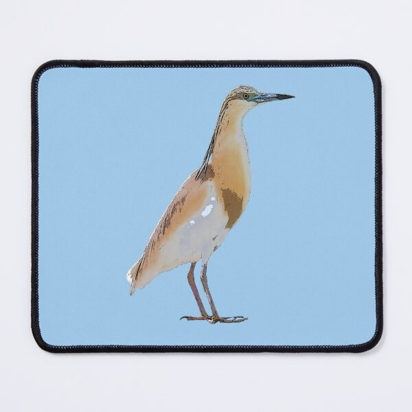Item preview, Squacco Heron Color Design designed and sold by designsasstultd.