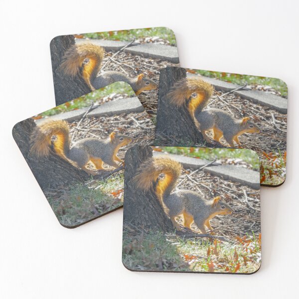Item preview, Autumn squirrel emerges into the sun designed and sold by Joel Bader.