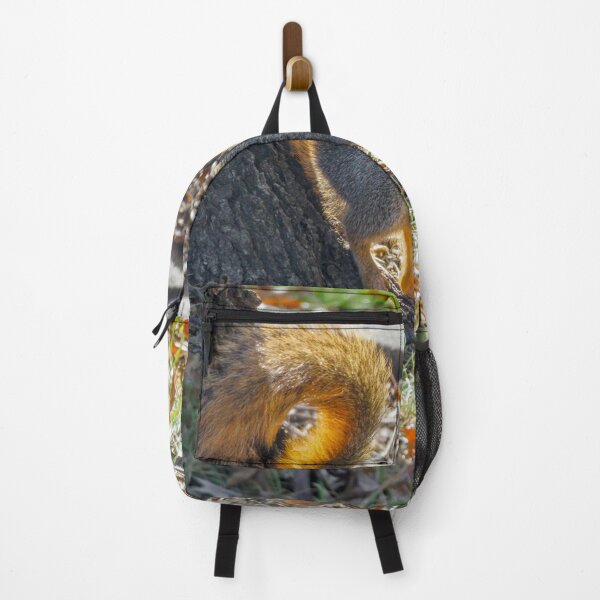 Item preview, Autumn squirrel emerges into the sun designed and sold by Joel Bader.