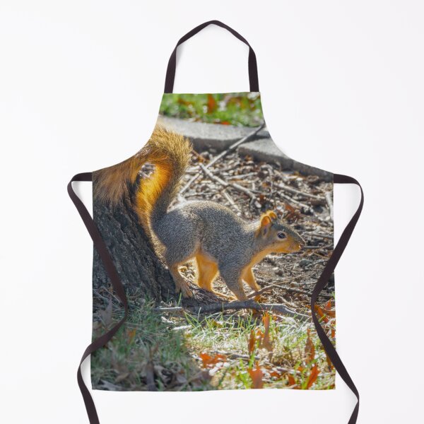 Item preview, Autumn squirrel emerges into the sun designed and sold by Joel Bader.
