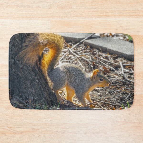 Item preview, Autumn squirrel emerges into the sun designed and sold by Joel Bader.