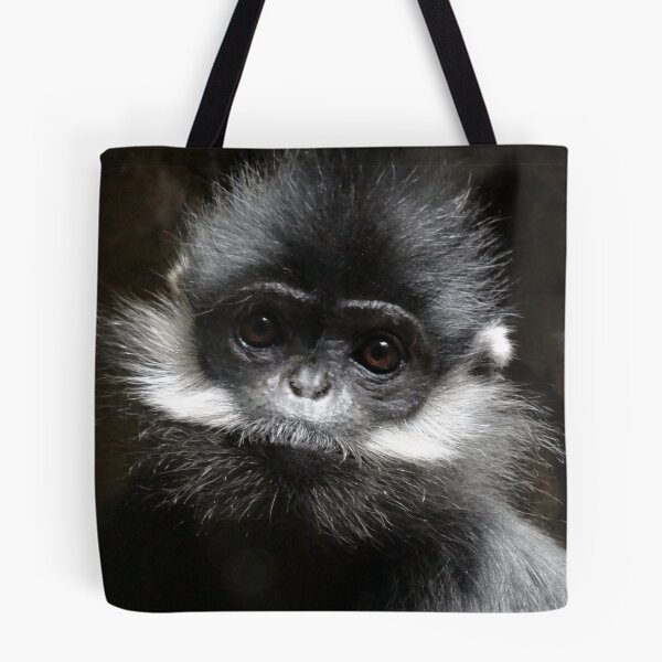 Item preview, Francois Langur Photo designed and sold by Katrina  Brown.