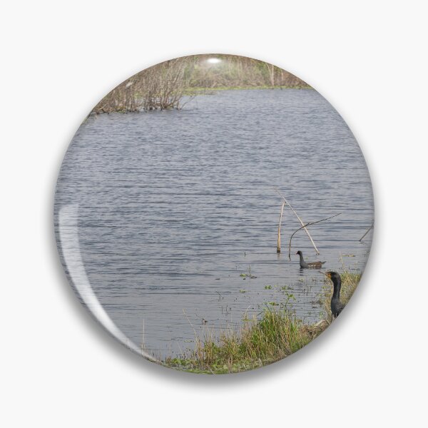 Item preview, Double Crested Cormorant at Lake Apopka, Florida designed and sold by jrtwynam.