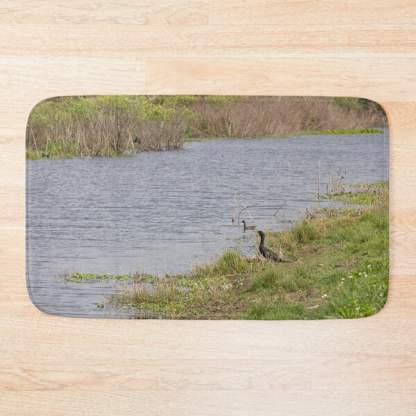 Item preview, Double Crested Cormorant at Lake Apopka, Florida designed and sold by jrtwynam.