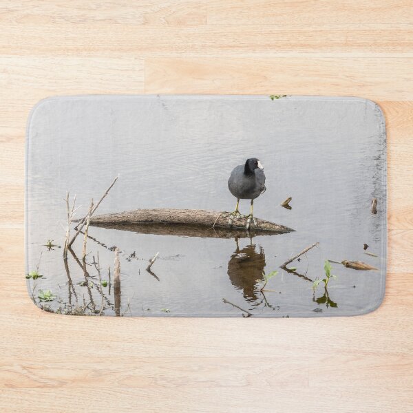 Item preview, Eurasian Coot Reflecting on a Log, Lake Apopka designed and sold by jrtwynam.
