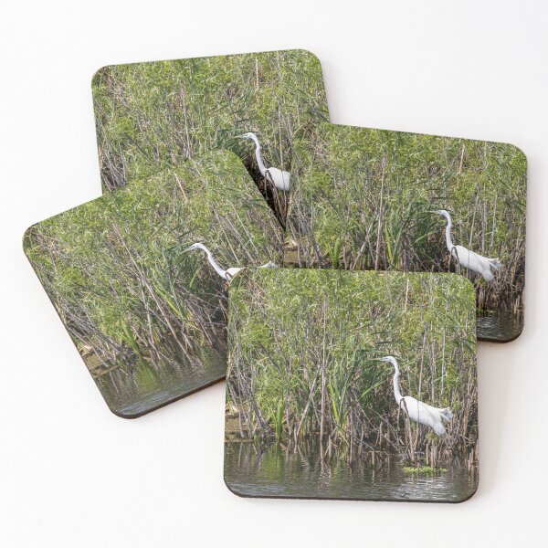 Item preview, Eastern Great Egret in a Swamp, Lake Apopka designed and sold by jrtwynam.