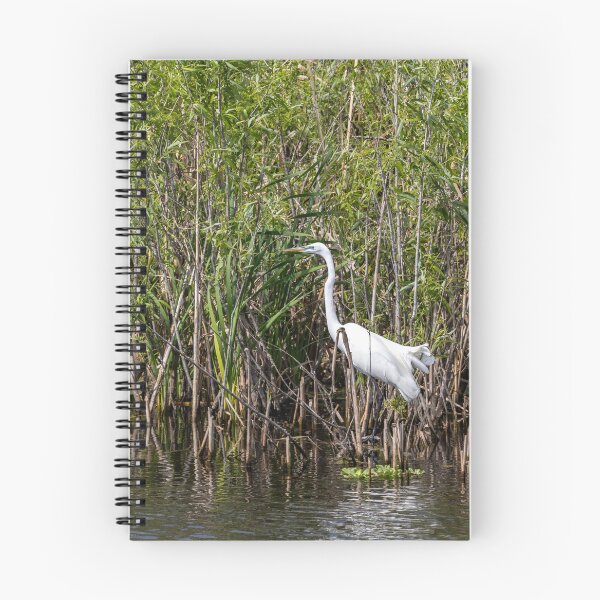 Item preview, Eastern Great Egret in a Swamp, Lake Apopka designed and sold by jrtwynam.