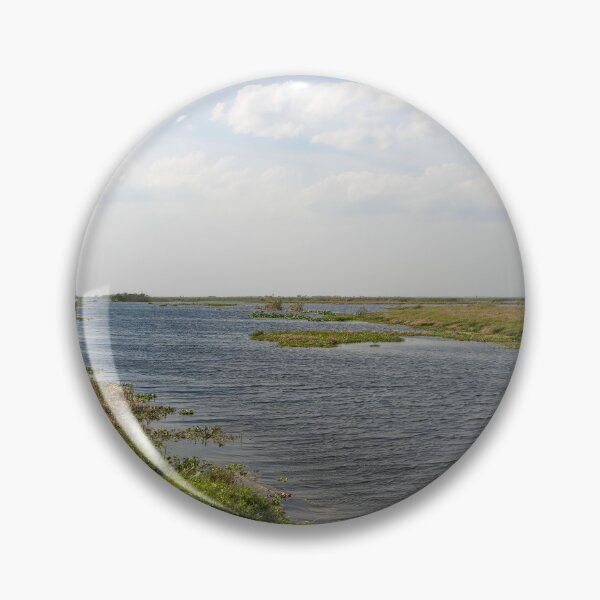Item preview, Lake Apopka Wildlife Drive, Orlando, Florida designed and sold by jrtwynam.