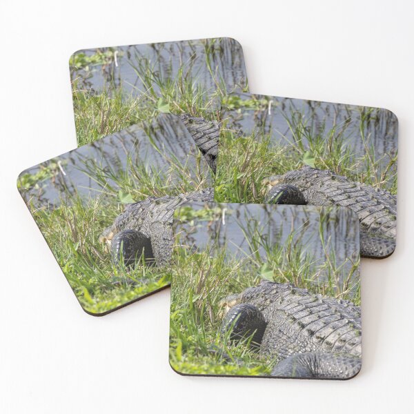 Item preview, Alligator at Lake Apopka, Florida 1 designed and sold by jrtwynam.