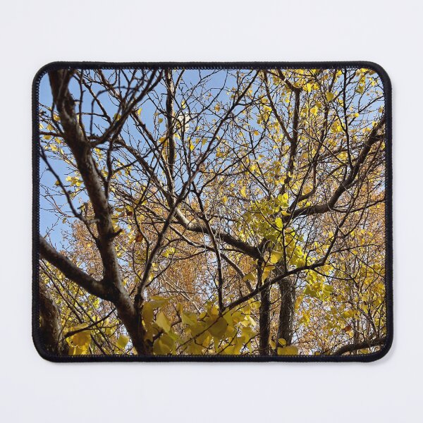 Item preview, Changing of The Leaves designed and sold by Betsy Phillips.