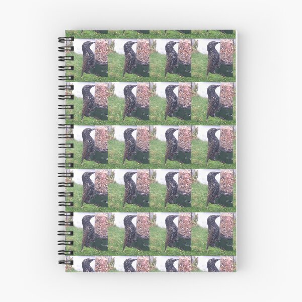 Item preview, lunchtime designed and sold by KathleenDawson.