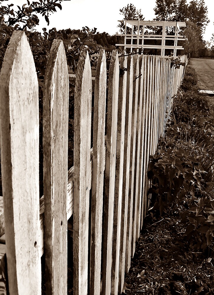 "The Old Picket Fence" by Tracy DeVore Redbubble