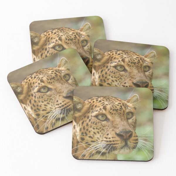 Item preview, Mesmerising Jaguar Gaze designed and sold by rawshutterbug.