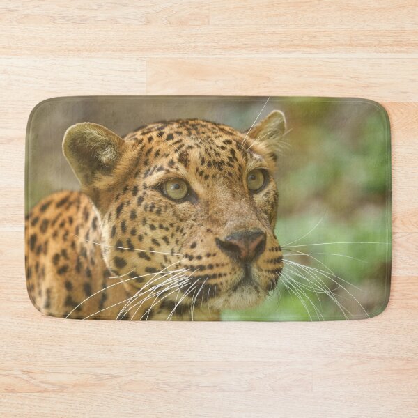 Item preview, Mesmerising Jaguar Gaze designed and sold by rawshutterbug.