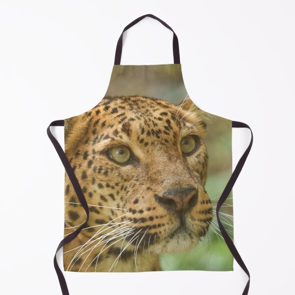 Item preview, Mesmerising Jaguar Gaze designed and sold by rawshutterbug.