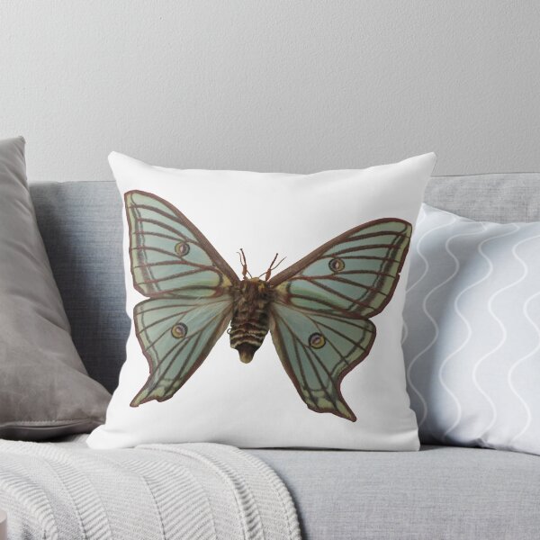 Item preview, Spanish Moon Moth: Graellsia isabellae  designed and sold by Entomologist.