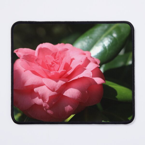 Item preview, Pink Japanese Camellia designed and sold by pinkal.