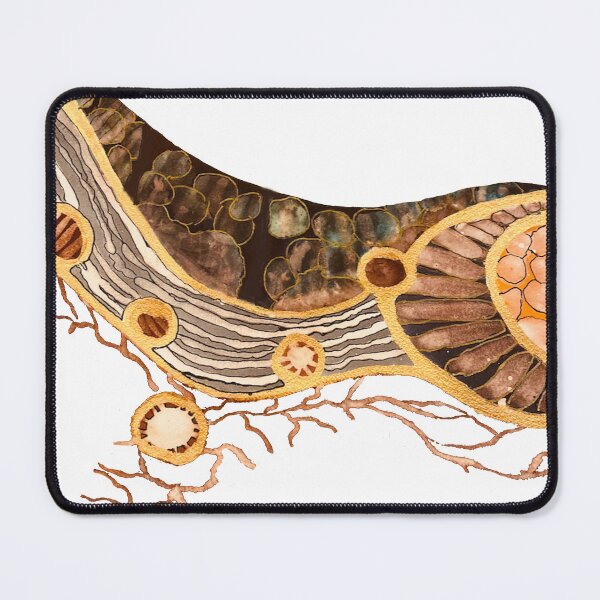 Item preview, Australia Bush and River designed and sold by The Iconic Aussie.