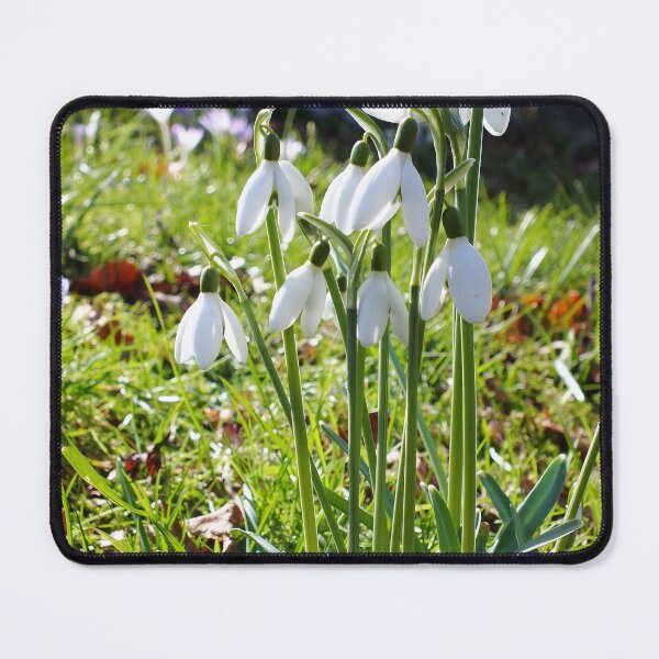 Item preview, Snowdrops designed and sold by pinkal.