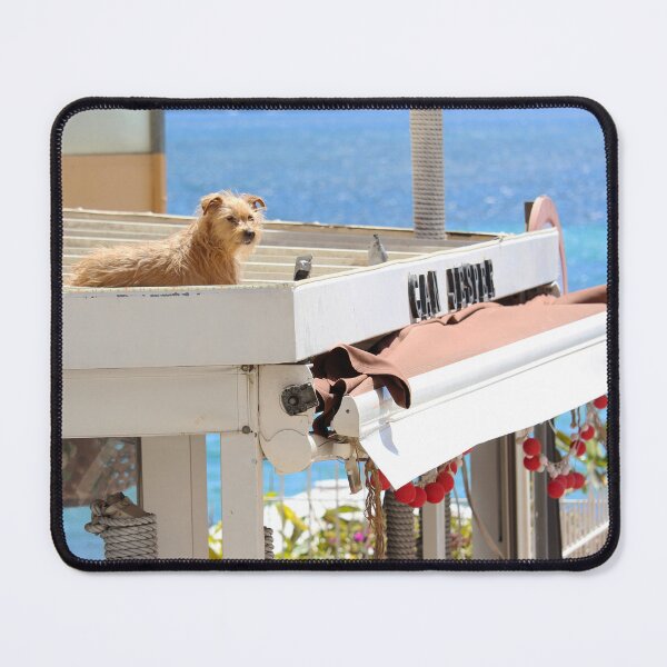 Item preview, Dog on a Hot Tin Roof designed and sold by eddiebarronshop.
