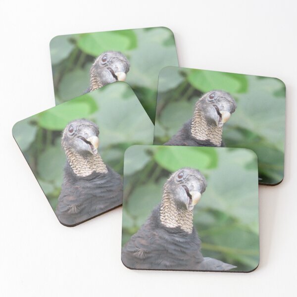 Item preview, Turkey vulture  designed and sold by Larrysphotos.