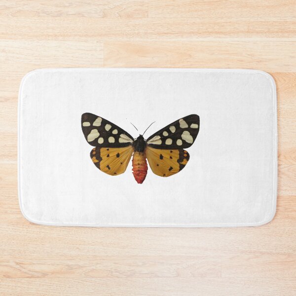 Item preview, Arctia villica / creamspot tiger  designed and sold by Entomologist.
