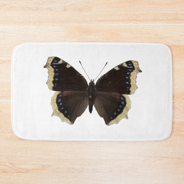 Item preview, Mourning cloak butterfly: Nymphalis antiopa designed and sold by Entomologist.