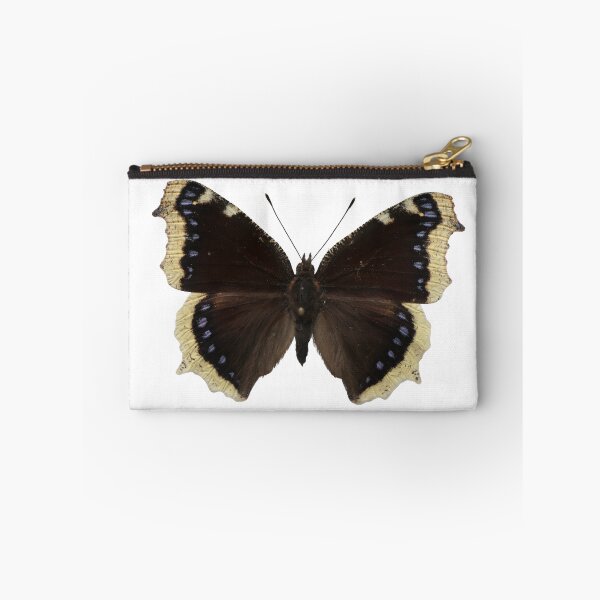 Item preview, Mourning cloak butterfly: Nymphalis antiopa designed and sold by Entomologist.