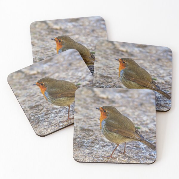Item preview, Robin wild bird designed and sold by grumpykeith.