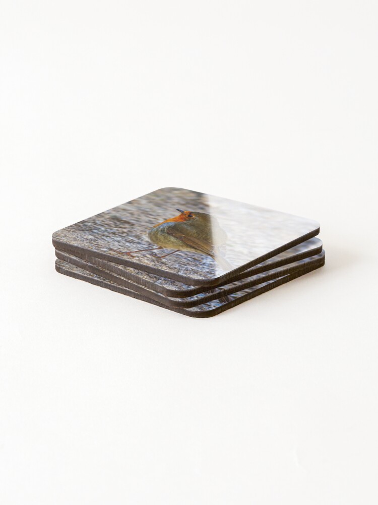 Thumbnail 4 of 5, Coasters (Set of 4), Robin wild bird designed and sold by grumpykeith.