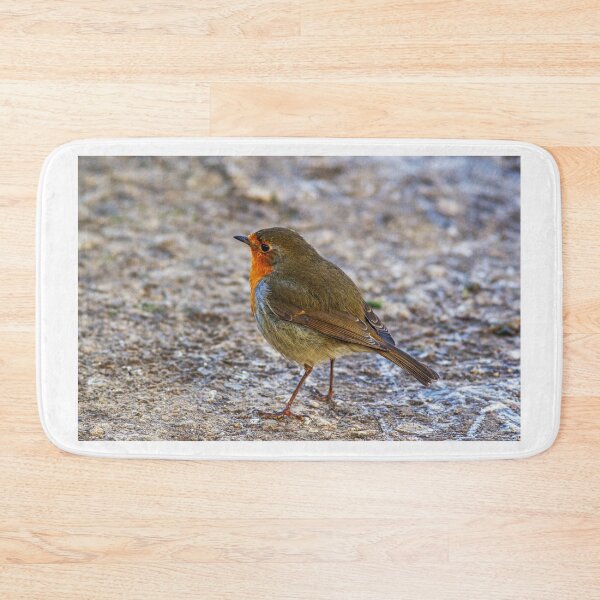 Item preview, Robin wild bird designed and sold by grumpykeith.