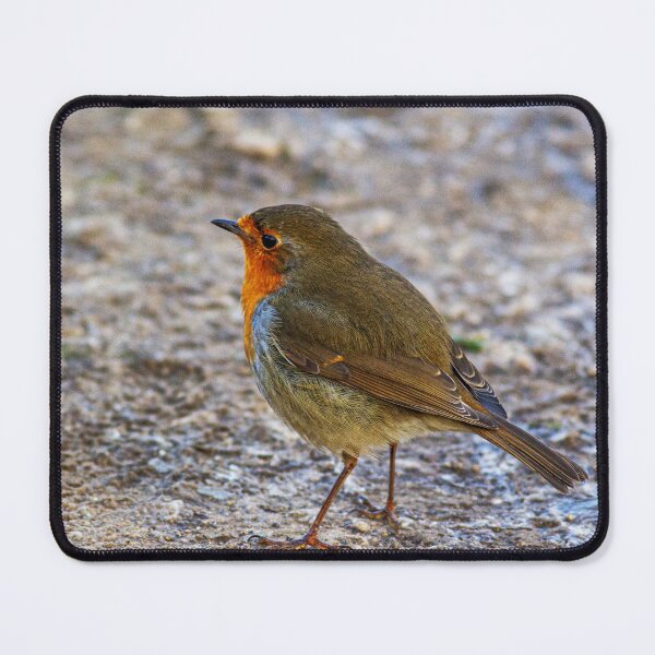 Item preview, Robin wild bird designed and sold by grumpykeith.